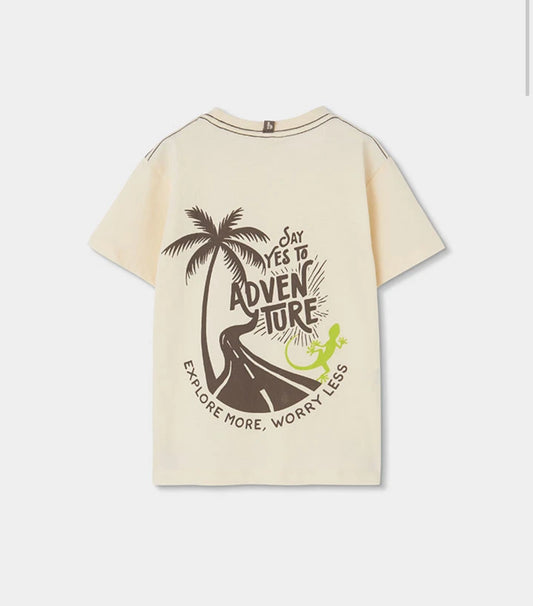 Camiseta 623012