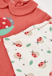 Conjunto punto 113016