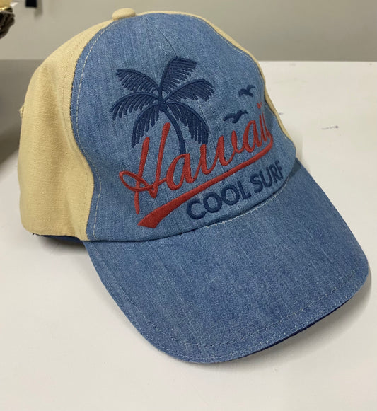 Gorra 10378