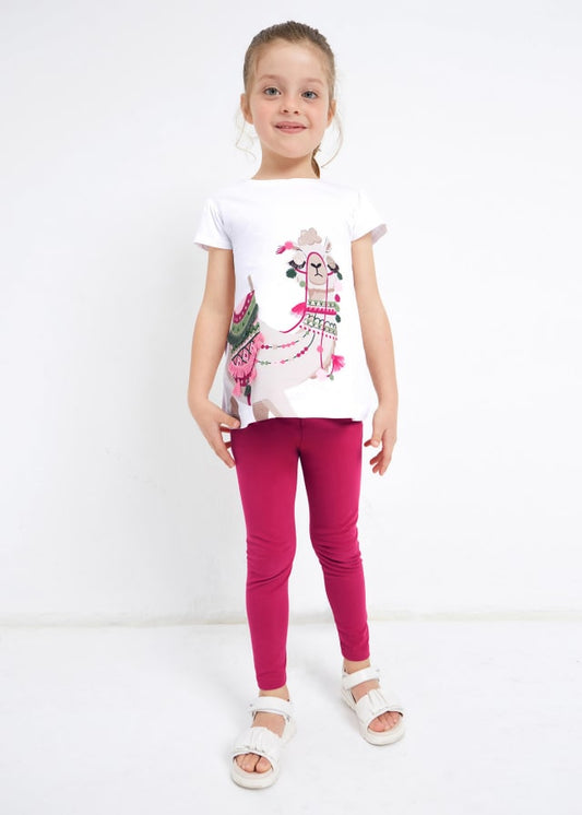 Conjunto leggins con bordado 3779 hibiscus