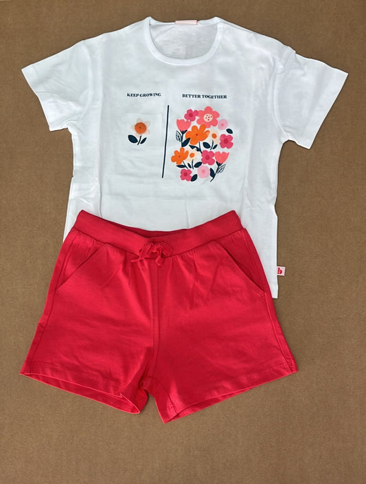 Conjunto 323132