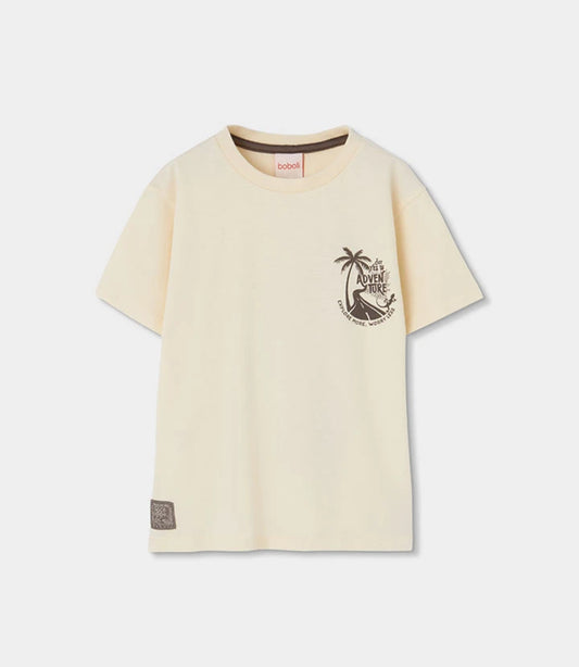 Camiseta 623012