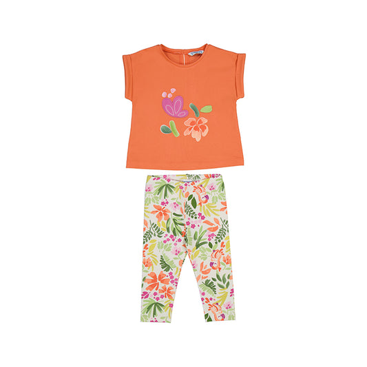 Conjunto set  1738