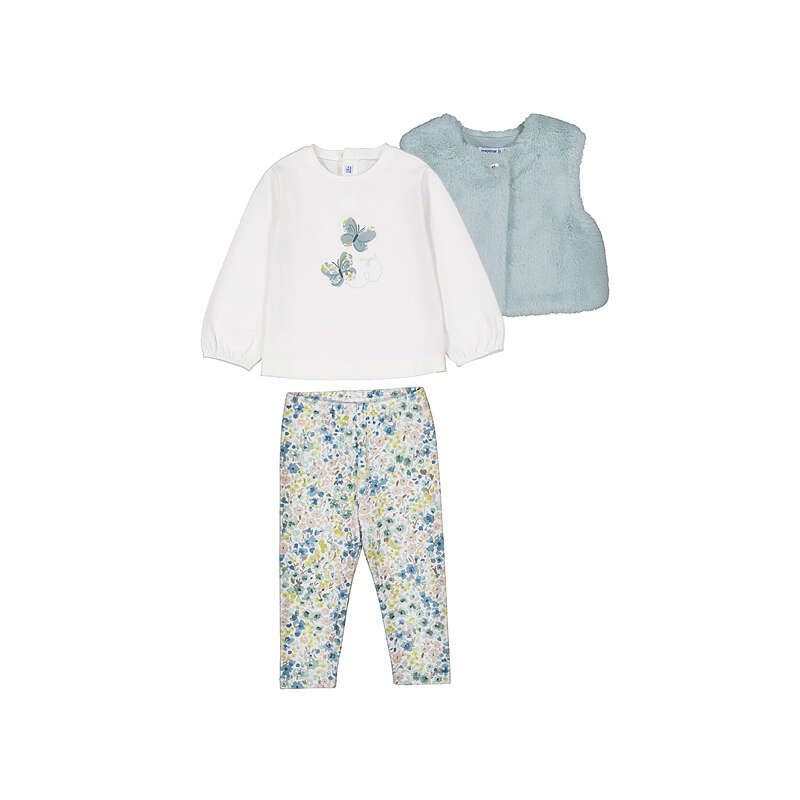 Conjunto 2784 anis