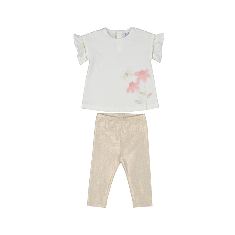 Conjunto set  1734 hueso