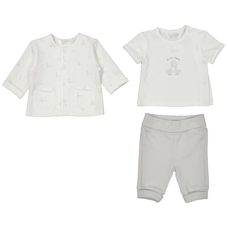 Chandal 1894 plata