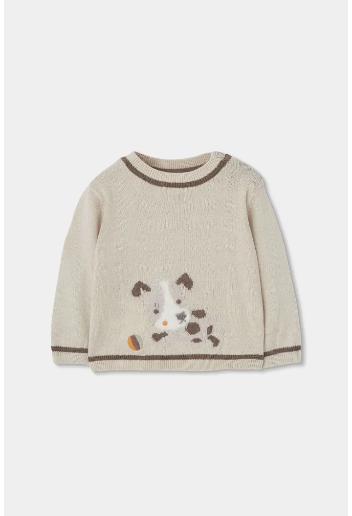 Jersey 804192 boboli