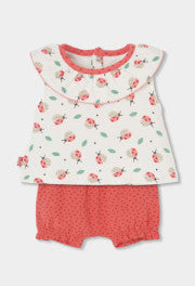 Conjunto 113072