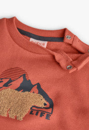 Conj. 3 piezas Sudadera 312039,pans 590655, playera 312062