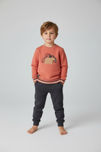 Cargar imagen en el visor de la galería, Conj. 3 piezas Sudadera 312039,pans 590655, playera 312062
