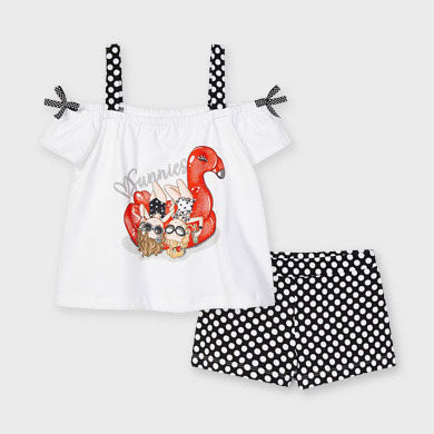 Conjunto 3213
