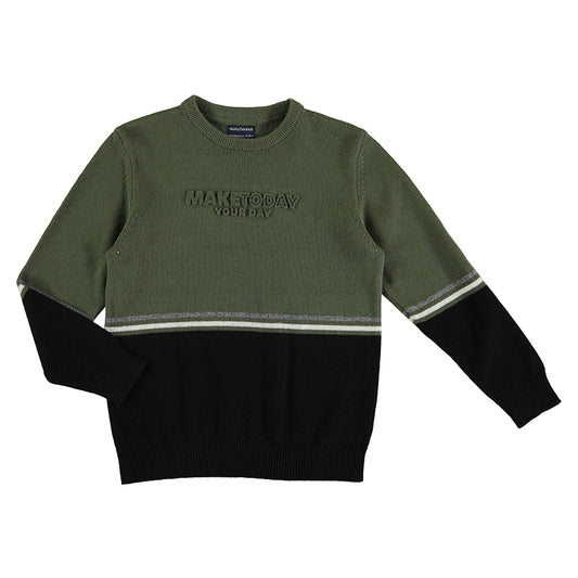 Jersey  7364 liquen
