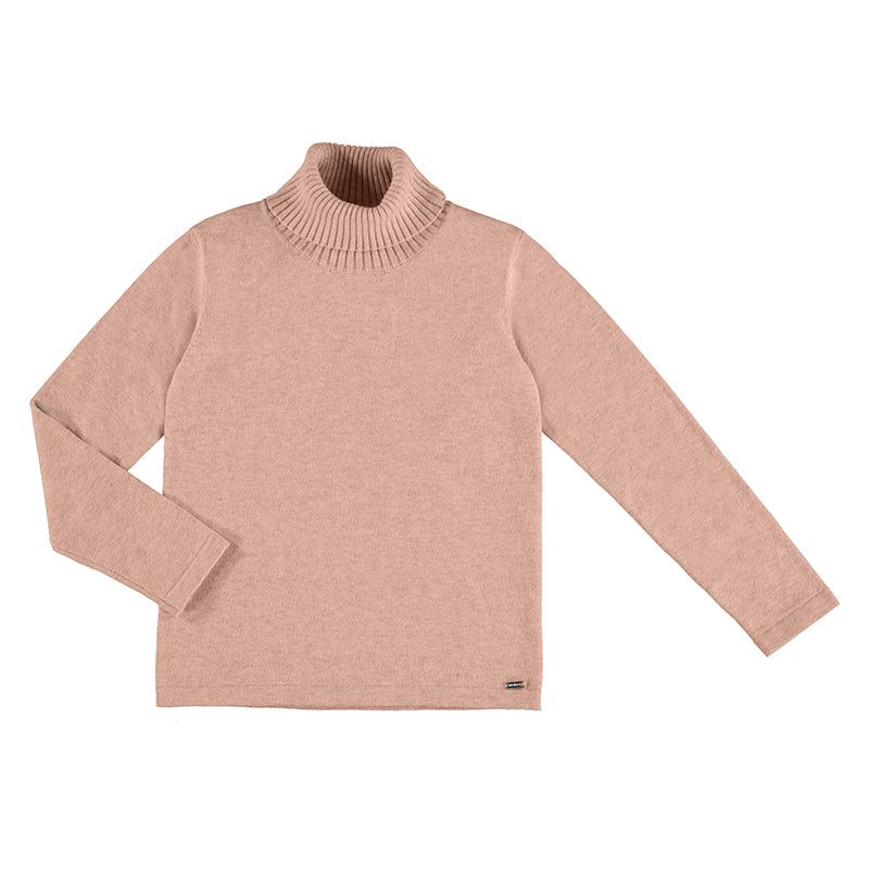 Cisne 313  rosado