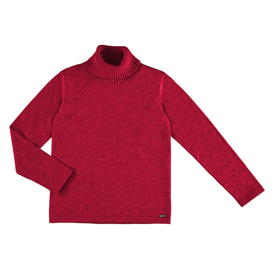 Cisne 313  17 rojo