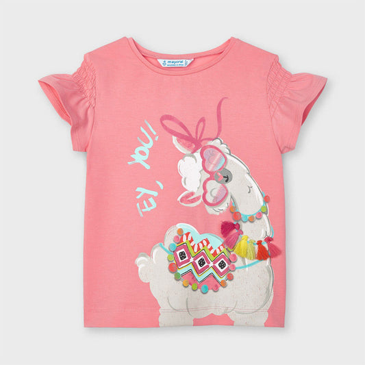 Camiseta serigrafia  3019
