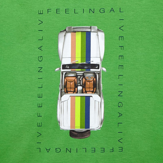 Camiseta coche 3039 matcha