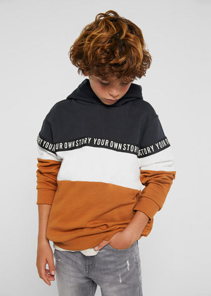Sudadera 6401 panela